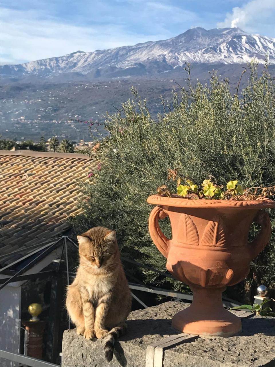 Borgo San Biagio Villa Calatabiano Eksteriør billede